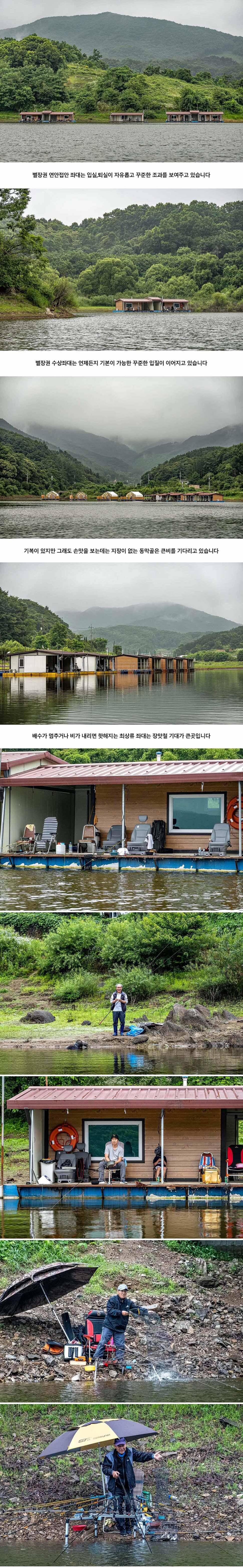 안성 두메낚시터 6월 26일 조황정보 (유료터정보 - 유료터점주조황)