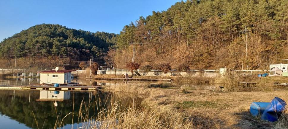 어우실지 나오면 월척에 때깔좋은어우실 입니다 오염이없는 저수지9 (유료터정보 - 유료터점주조황)