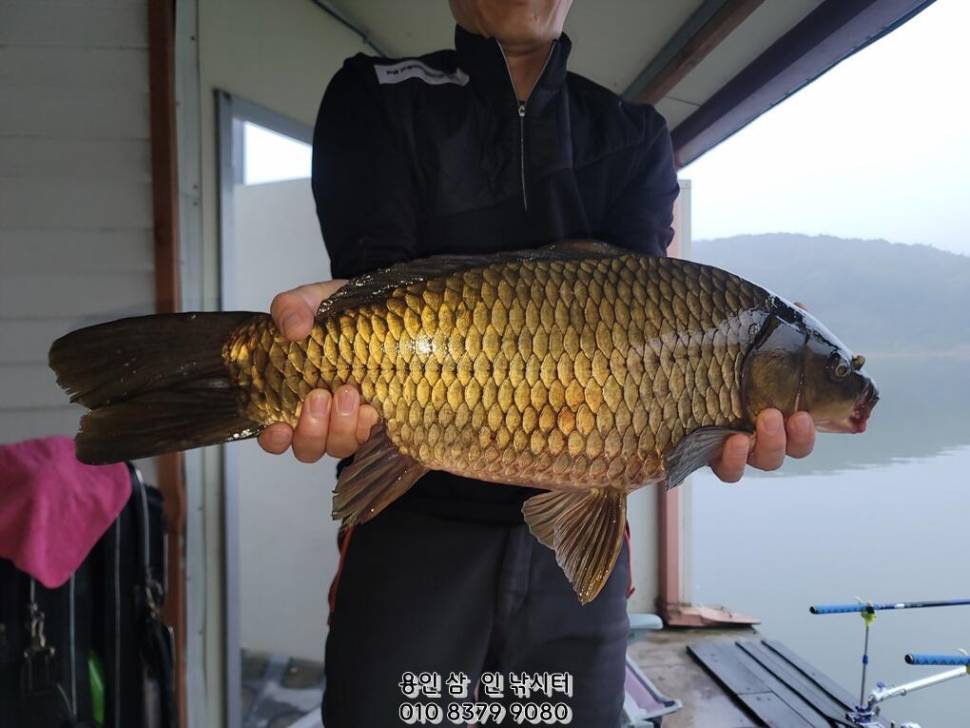 가깝고 물 좋고 경치 좋은 곳용인삼인낚시터 (유료터정보 - 유료터점주조황)