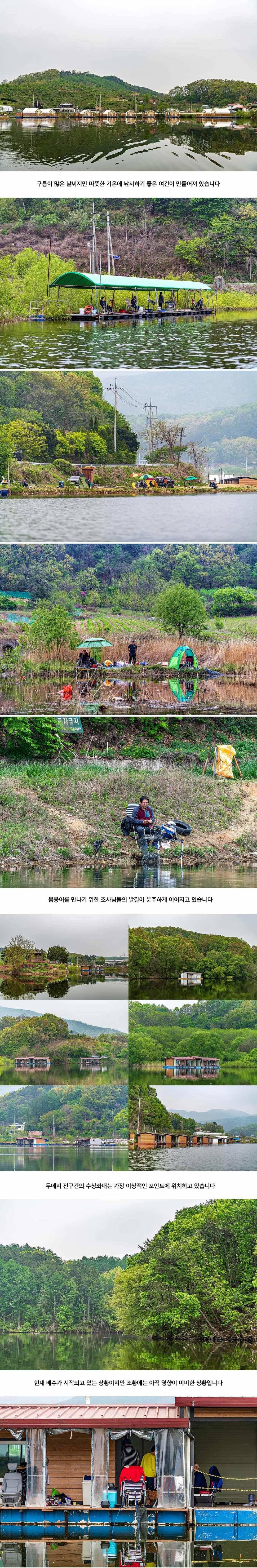 안성 두메낚시터 5월 2일 조황정보 (유료터정보 - 유료터점주조황)