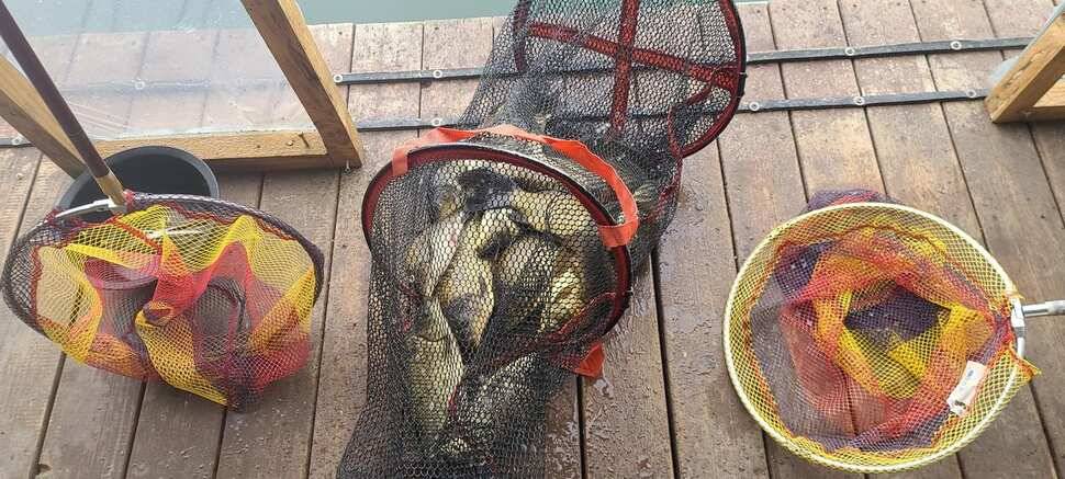 양평낚시터 힐링 수곡낚시터 주초조황 좋아지네요 금일 붕어방류 (유료터정보 - 유료터점주조황)