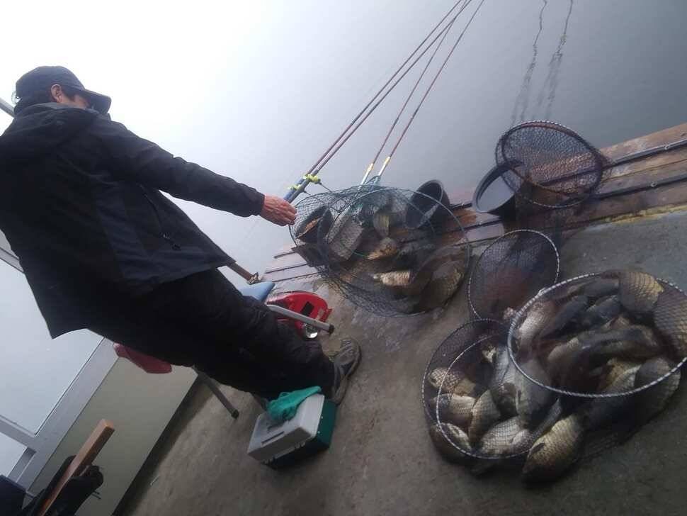 수곡낚시터 붕어조과 고르고 꾸준한 조황으로 잘 나와줍니다 금일 붕어 방류 완료 (유료터정보 - 유료터점주조황)