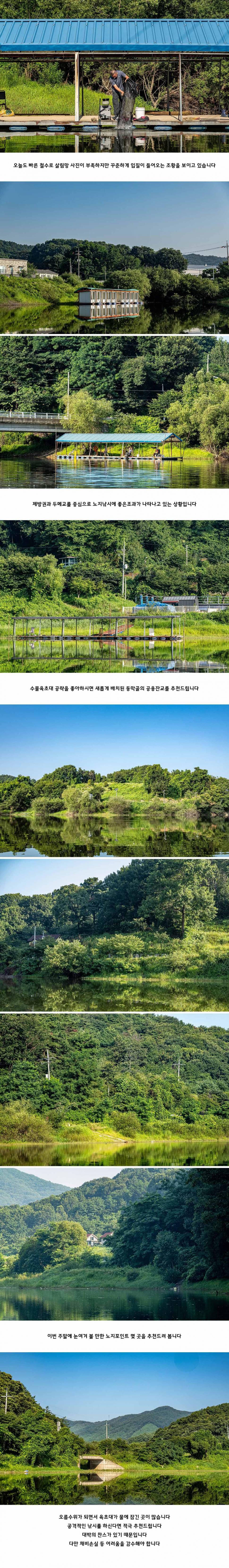 안성 두메낚시터 7월 25일 조황정보 (유료터정보 - 유료터점주조황)