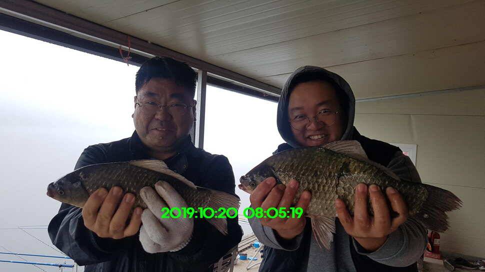 신원낚시터 10월21일 토종 49센티 붕어 구경하시고 가시겠습니다 (유료터정보 - 유료터점주조황)