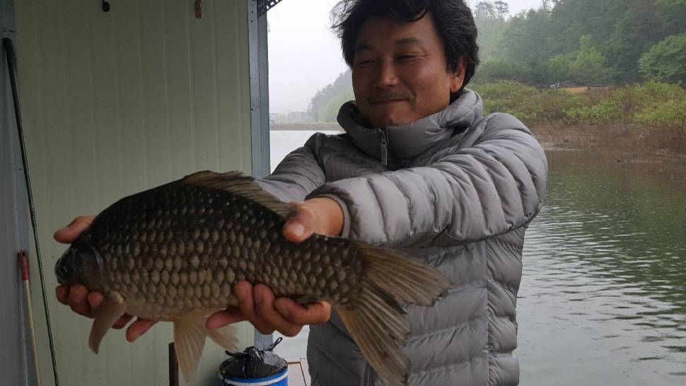 송전지서울집좌대5월10일조황 (유료터정보 - 유료터점주조황)