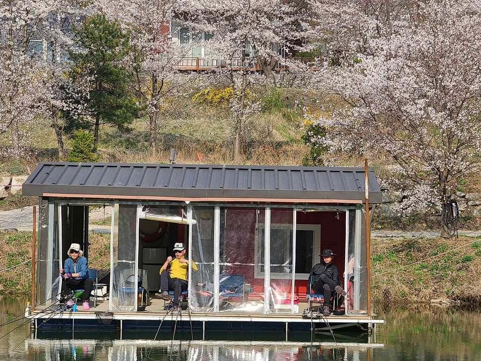 양평 힐링 수곡낚시터 자연산 토종붕어 대량방류 및 주중조황 안내 (유료터정보 - 유료터점주조황)