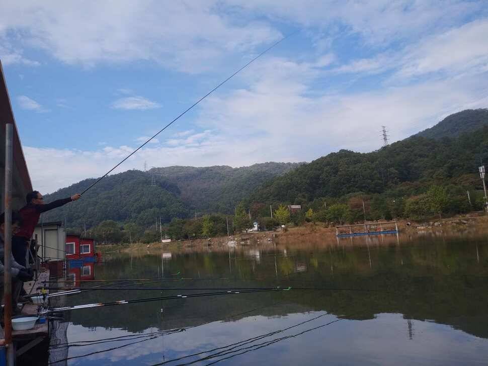 힐링 수곡낚시터 어제도 많은 붕어들이 나와주었습니다 내일도 붕어방류 합니다 (유료터정보 - 유료터점주조황)