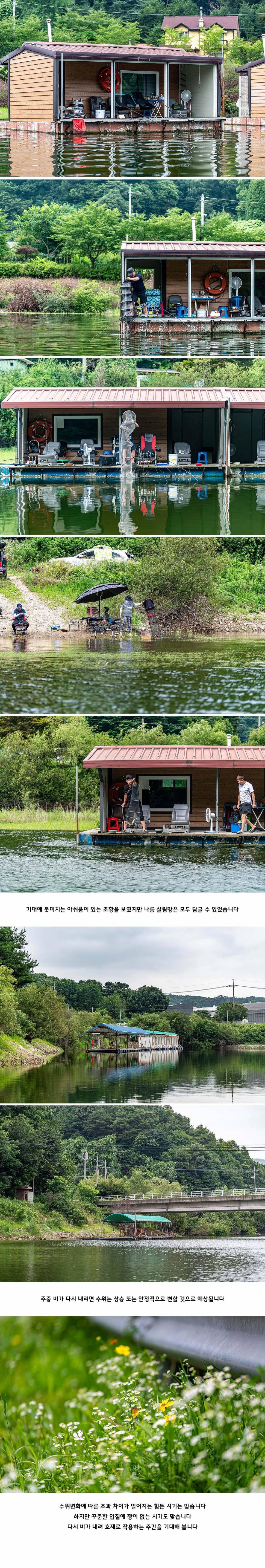 안성 두메낚시터 7월 14일 조황정보 (유료터정보 - 유료터점주조황)