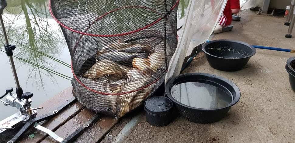 양평 수곡낚시터 주중조황 및 수상좌대 할인기념품 증정 연장안내 (유료터정보 - 유료터점주조황)