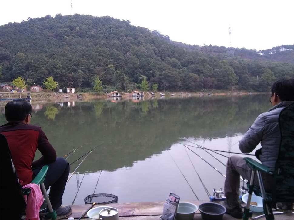 힐링 수곡낚시터 어제도 많은 붕어들이 나와주었습니다 내일도 붕어방류 합니다 (유료터정보 - 유료터점주조황)