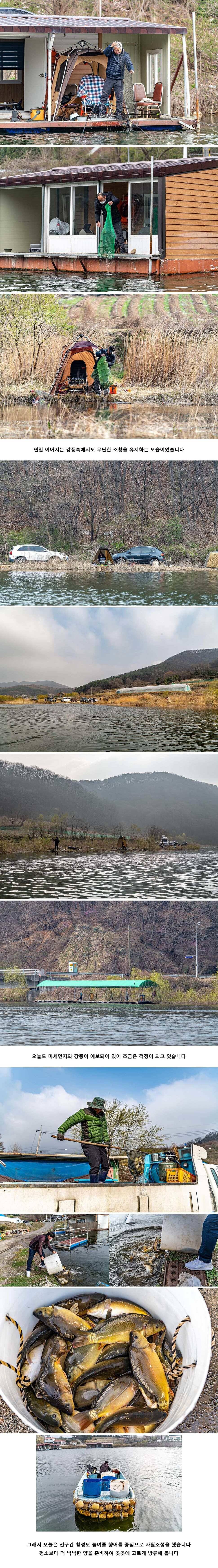 안성 두메낚시터 4월 4일 조황정보 (유료터정보 - 유료터점주조황)