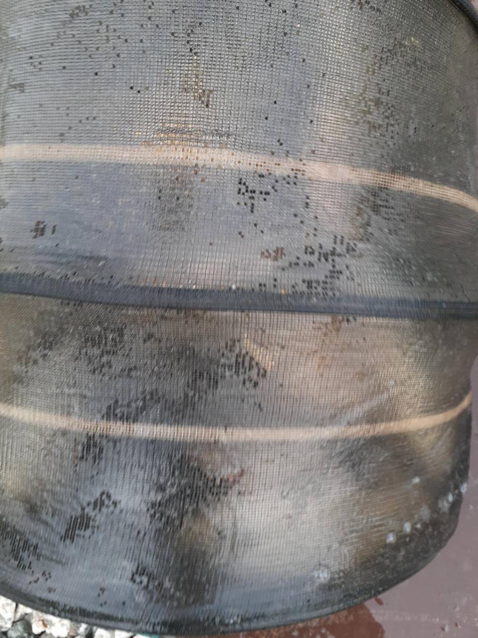 경주 동산낚시터붕어 전용잡이터지난주 조황 (유료터정보 - 유료터점주조황)