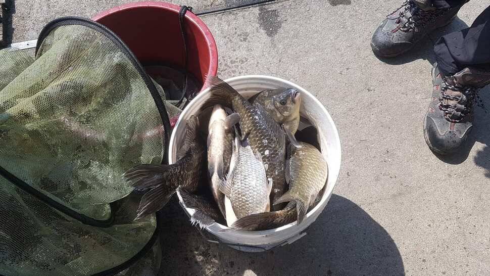 수요일 전좌대만석 입니다 넘잘나오네요 불빛도 업구 넘조용하고 분위기 최고 랍니다 (유료터정보 - 유료터점주조황)