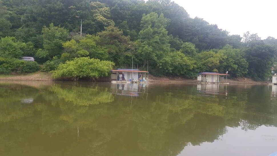당진 가교리낚시터 6월 21일 조황 (유료터정보 - 유료터점주조황)