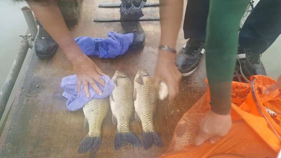 경주 동산낚시터붕어 전용 잡이터 지난주 조황 (유료터정보 - 유료터점주조황)
