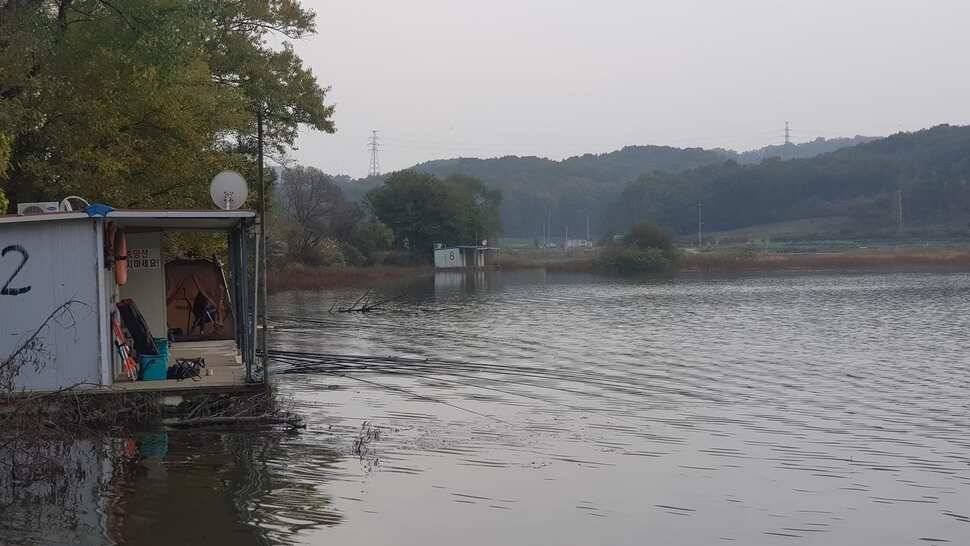 당진 가교리 낚시터 11월 9일 조황입니다 (유료터정보 - 유료터점주조황)