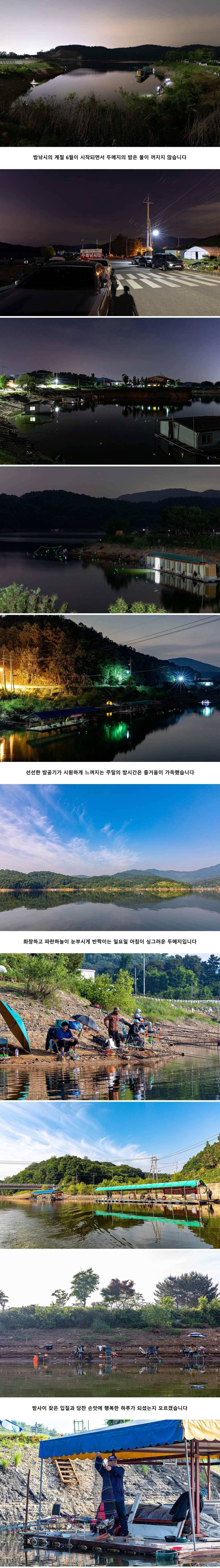 안성 두메낚시터 6월 2일 조황정보 (유료터정보 - 유료터점주조황)
