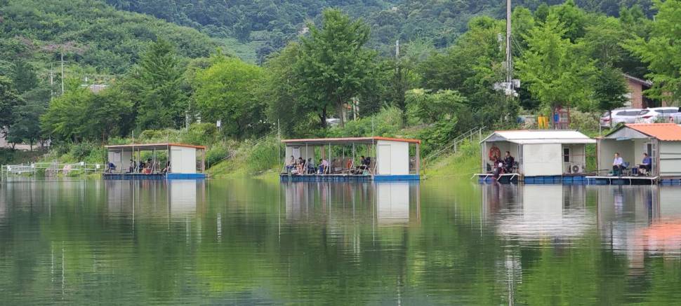 힐링 여름휴가 피서낚시 수곡낚시터 중복날 일요일 조황 (유료터정보 - 유료터점주조황)