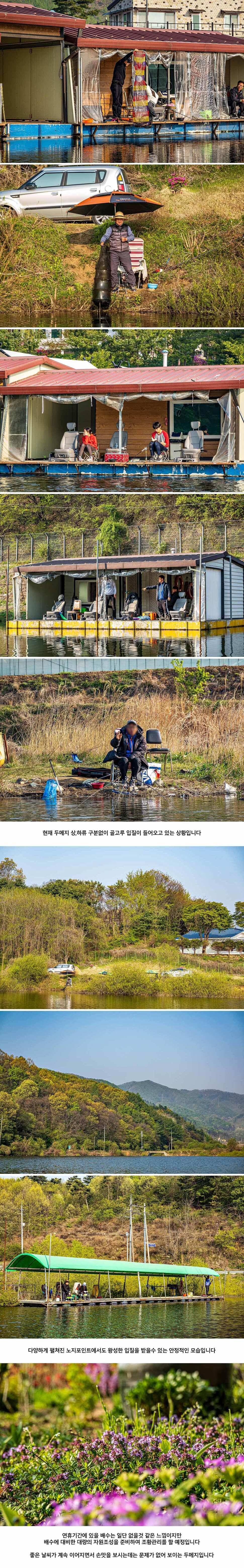 안성 두메낚시터 4월 29일 조황정보 (유료터정보 - 유료터점주조황)