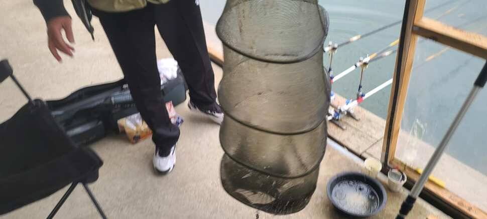 양평낚시터 힐링 수곡낚시터 주초조황 좋아지네요 금일 붕어방류 (유료터정보 - 유료터점주조황)
