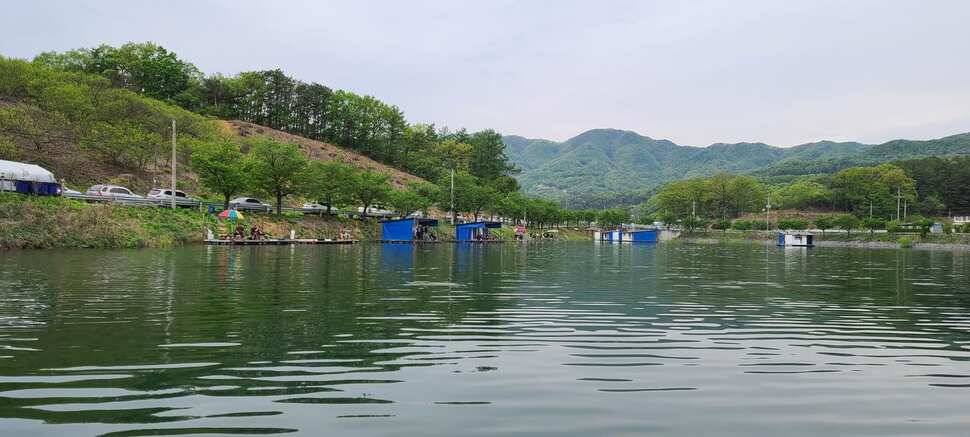 공주 고성낚시터 입니다 (유료터정보 - 유료터점주조황)