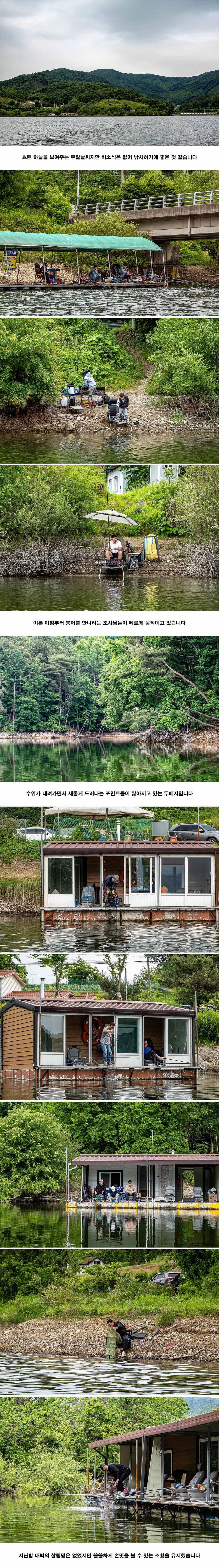 안성 두메낚시터 5월 25일 조황정보 (유료터정보 - 유료터점주조황)