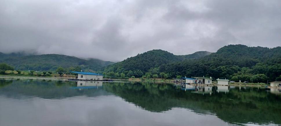 어우실지 주말만석에 감사합니다 입질도 비가오고 좋아요 (유료터정보 - 유료터점주조황)