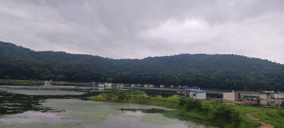 어우실지 입질이좋아요 80프로 유지하라네요 (유료터정보 - 유료터점주조황)