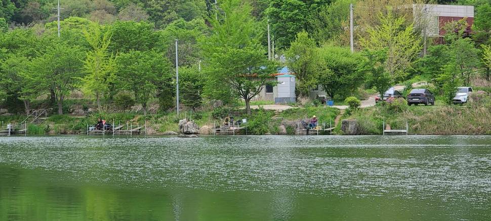4월넷째주 힐링 수곡낚시터 화수요일 주중반 조황 금일 붕어방류 (유료터정보 - 유료터점주조황)