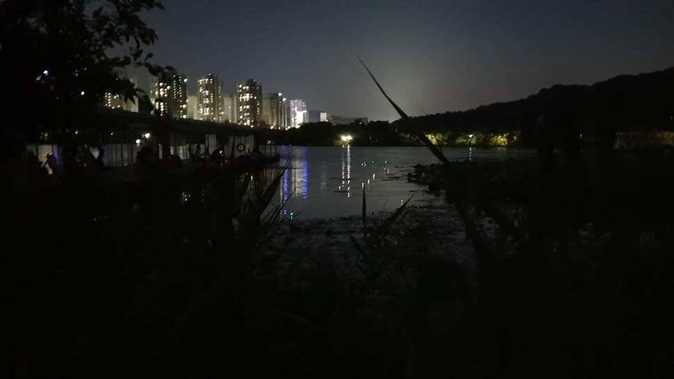 아산 명품 월랑낚시터 8월 첫번째 조황이야기입니다 (유료터정보 - 유료터점주조황)