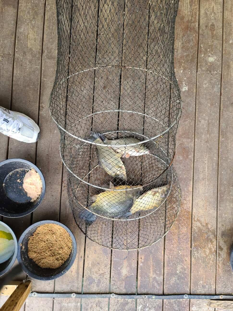힐링 양평 수곡낚시터 주말조황 및 방류안내 (유료터정보 - 유료터점주조황)