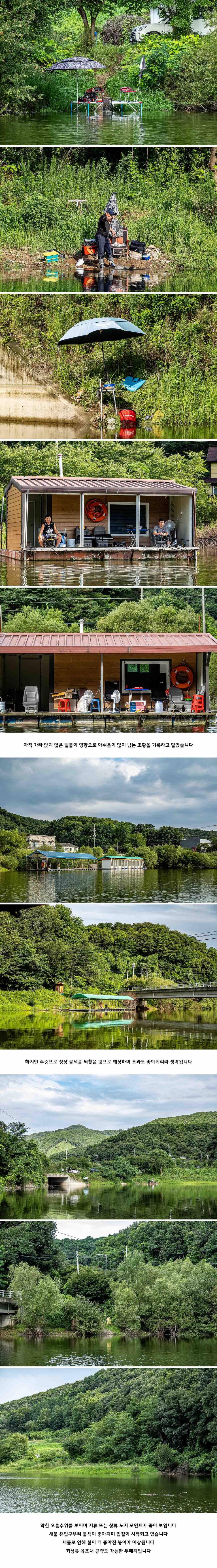 안성 두메낚시터 7월 21일 조황정보 (유료터정보 - 유료터점주조황)