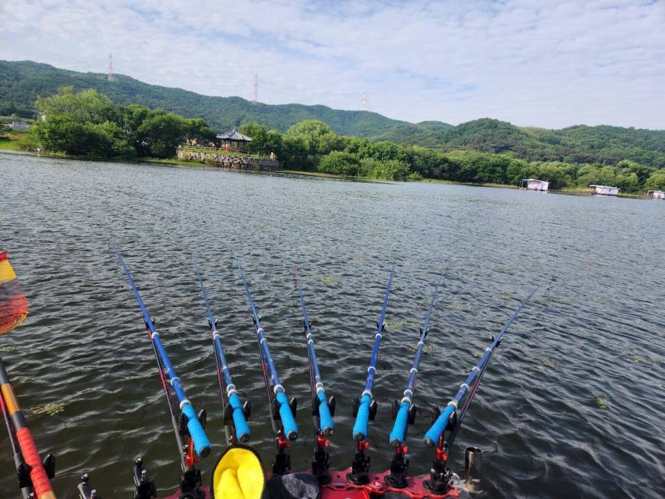 529 아산 안골지 조황정보 입니다 (유료터정보 - 유료터점주조황)