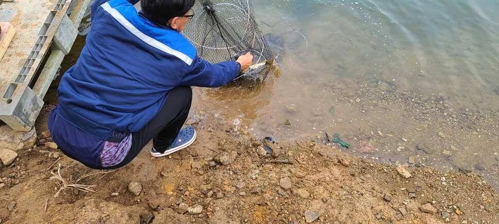 공주 고성낚시터 입니다 (유료터정보 - 유료터점주조황)