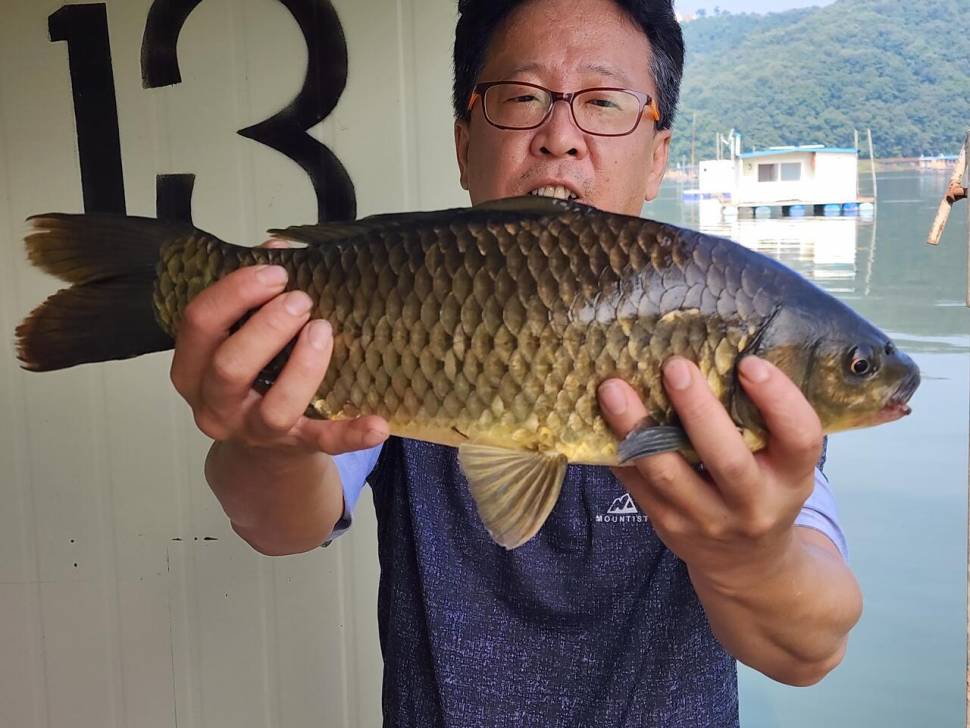 송전지 창신좌대 조황 (유료터정보 - 유료터점주조황)