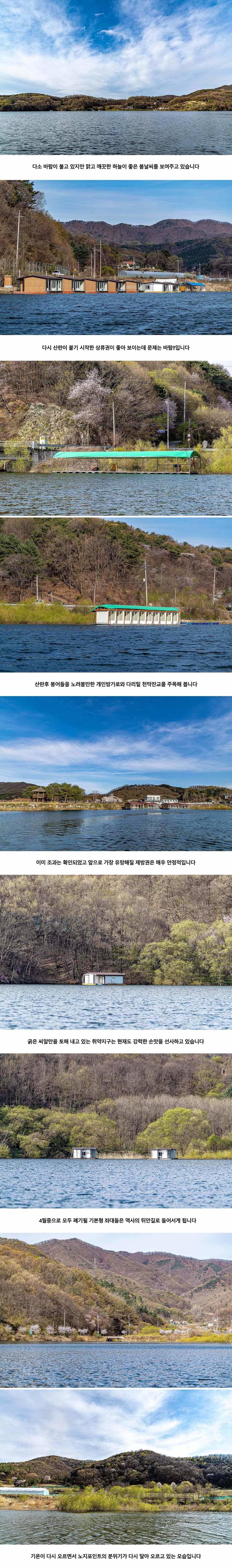 안성 두메낚시터 4월 13일 조황정보 (유료터정보 - 유료터점주조황)