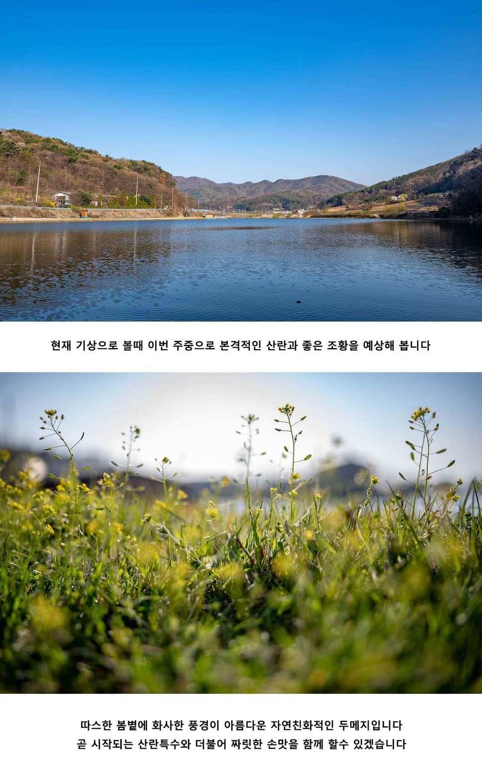 안성 두메낚시터 4월 17일 조황정보 (유료터정보 - 유료터점주조황)