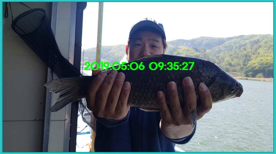 신원낚시터 토종대물 덩어리와 4짜가 계속 나옵니다쭉 (유료터정보 - 유료터점주조황)