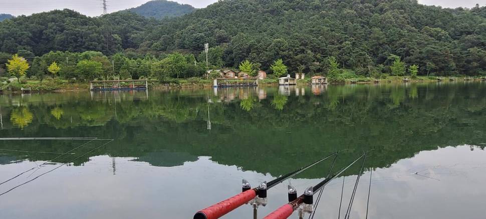 초가을 양평 수곡낚시터 세째주 주초 붕어 조황 및 금일 방류 완료 (유료터정보 - 유료터점주조황)