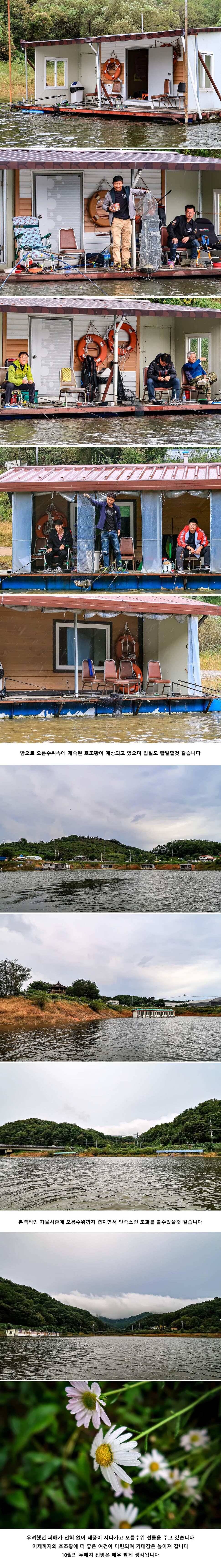 안성 두메낚시터 10월 3일 조황정보 (유료터정보 - 유료터점주조황)