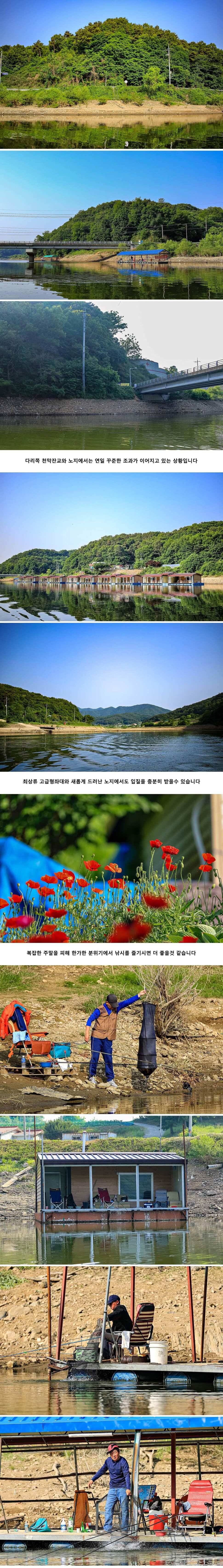 안성 두메낚시터 6월 4일 조황정보 (유료터정보 - 유료터점주조황)