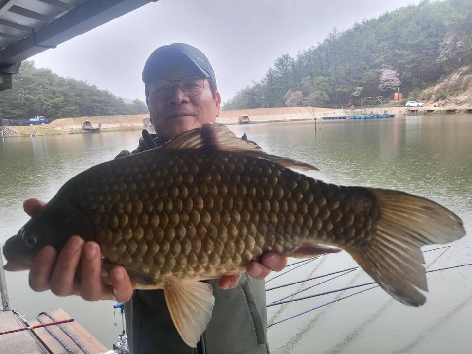 4짜 무더기 호조황 지금이 적기입니다 출조 하세요 (유료터정보 - 유료터점주조황)