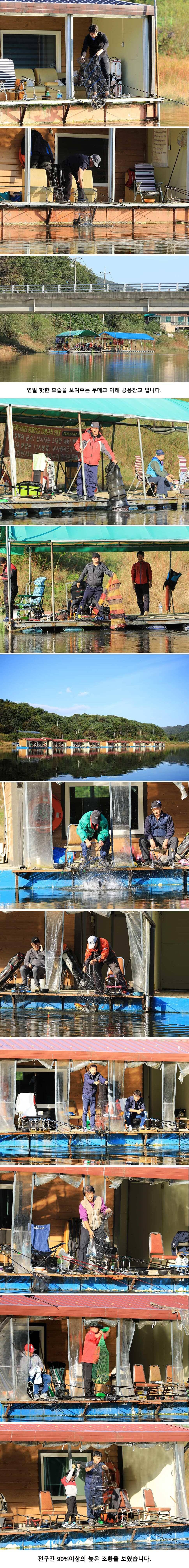 안성 두메낚시터 10월6일 조황안내 (유료터정보 - 유료터점주조황)