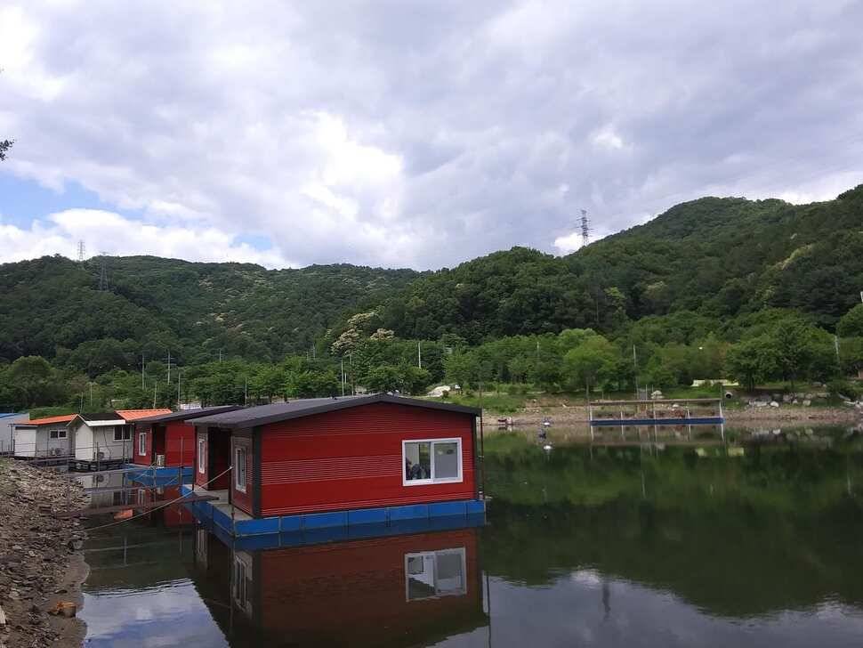 양평 수곡낚시터 7월 출발이 괜찬습니다 7월1일 조황 안내 (유료터정보 - 유료터점주조황)