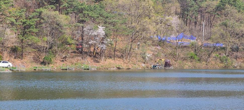 4월둘째주 양평 힐링 수곡낚시터 조황 붕어방류 (유료터정보 - 유료터점주조황)