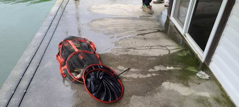 공주 고성낚시터 입니다 (유료터정보 - 유료터점주조황)