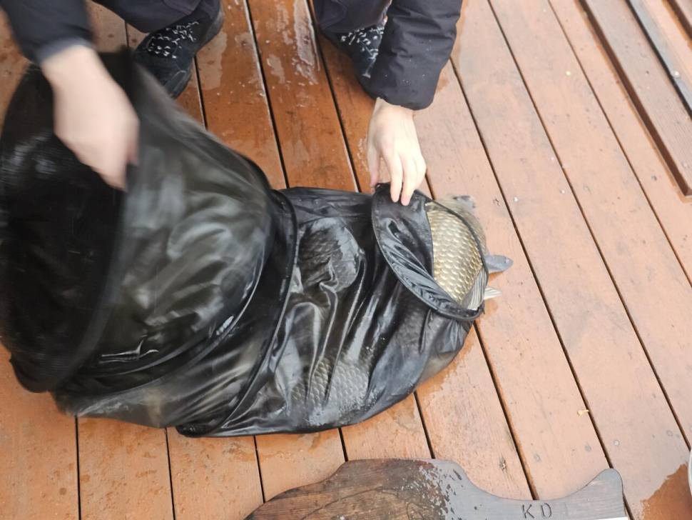 사짜넷마리 와 마릿수 조과 (유료터정보 - 유료터점주조황)