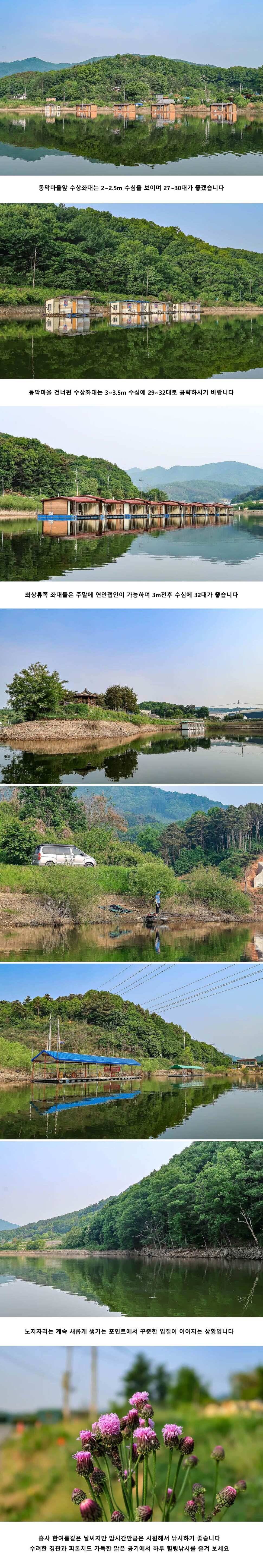 안성 두메낚시터 5월 17일 조황정보 (유료터정보 - 유료터점주조황)