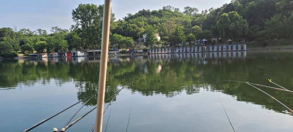 피서낚시 양평 수곡낚시터 월요일 주초조황 및 금일 붕어방류 완료 (유료터정보 - 유료터점주조황)