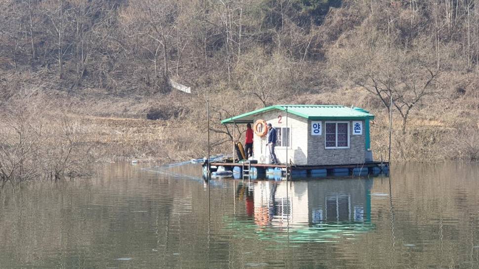 고삼지 양촌좌대 첫 조황입니다 (유료터정보 - 유료터점주조황)